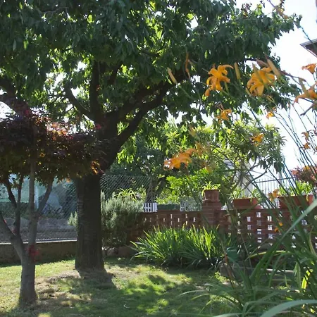 Bed & Breakfast Luisa Candelo