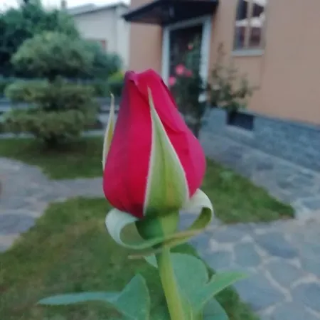 Luisa Frühstückspension 3*