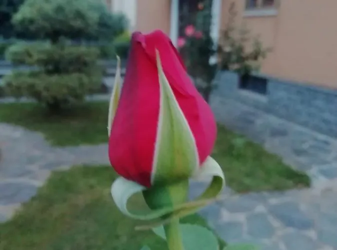 Luisa לינה וארוחת בוקר 3*